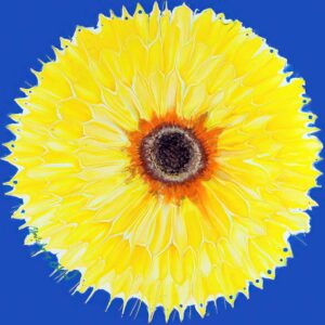 Sunflower - There's Hope