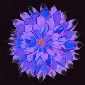 Dahlia - Blue Boy