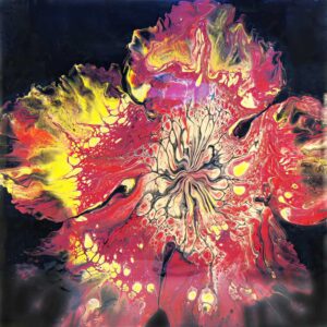 Scarlett Gold Hibiscus