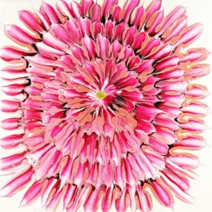 Dahlia - Pink Break Out