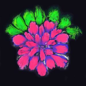 Daisy - Pink Glow