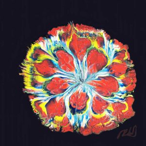 Poinciana Glory