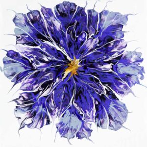 Royal Clematis