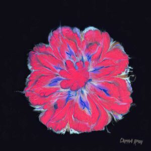 Daisy - Pink In Love