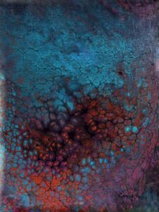 Coral Reef