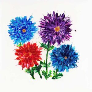 Dahlia - Happy Bunch