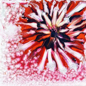 Dahlia in Snow