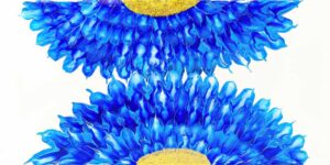Dahlia - Blue Alike2