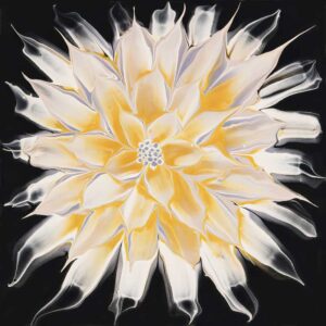 Dahlia - Golden White